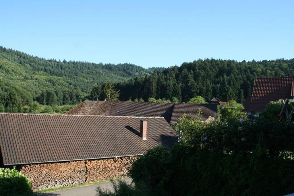 Ferienwohnung Hoehner Gengenbach Eksteriør bilde
